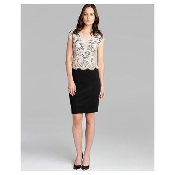 TED BAKER Sarvani Lace Bodice Dress Black Beige sz 2 US 6 Women's - Picture 9 of 9